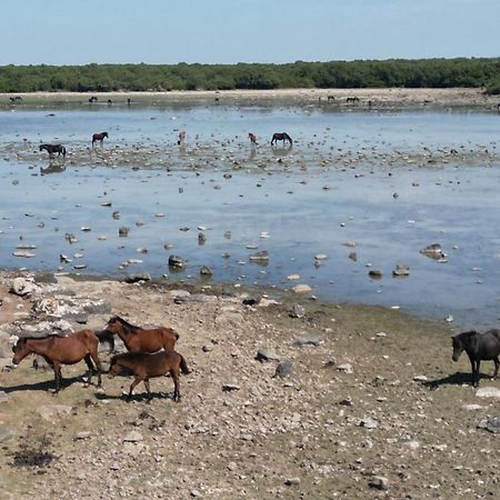 Albergo Diffuso Il Mandorlo Baressa Εξωτερικό φωτογραφία